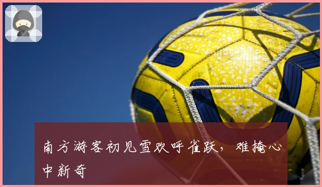 南方游客初见雪欢呼雀跃，难掩心中新奇