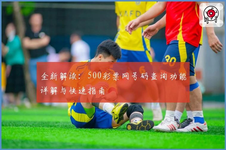 全新解读：500彩票网号码查询功能详解与快速指南