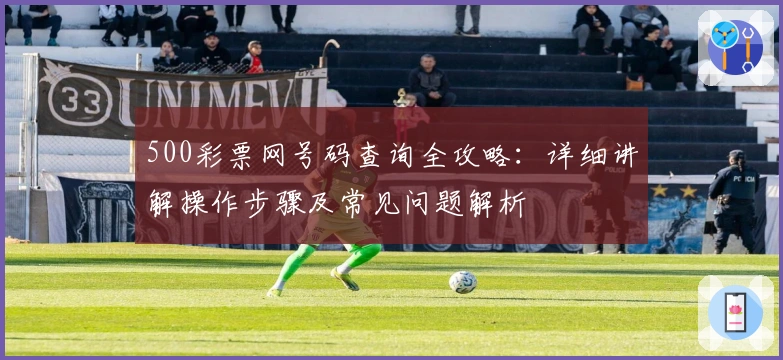 500彩票网号码查询全攻略：详细讲解操作步骤及常见问题解析